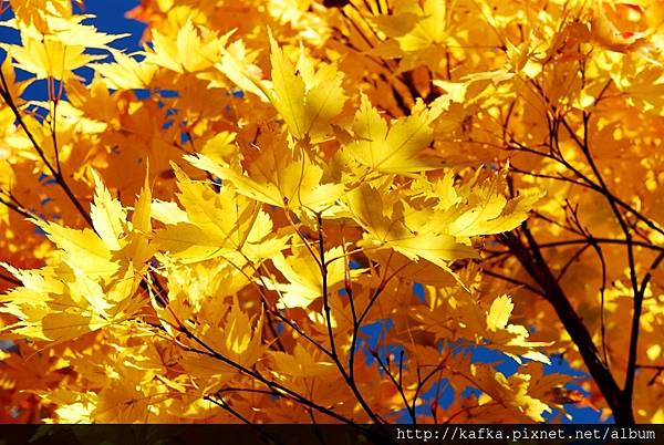 DSC_1189.JPG DSC_1189.JPG