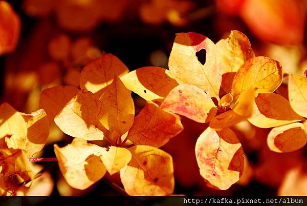 DSC_1146.JPG DSC_1146.JPG