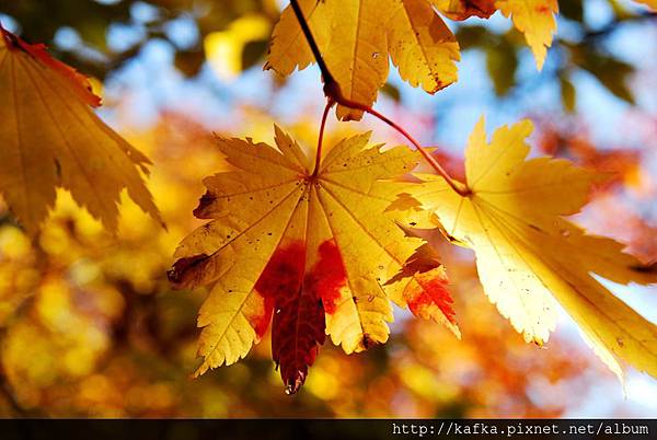 DSC_1197.JPG DSC_1197.JPG