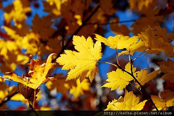 DSC_1172.JPG DSC_1172.JPG