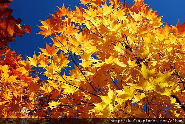 DSC_1188.JPG DSC_1188.JPG