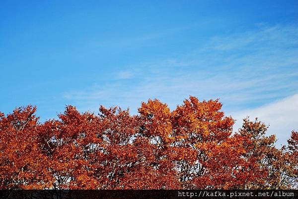 DSC_1207.JPG DSC_1207.JPG