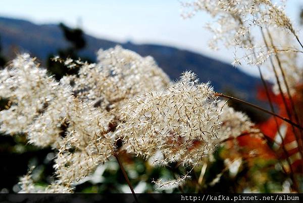 DSC_1219.JPG DSC_1219.JPG