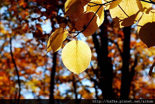 DSC_1244.JPG DSC_1244.JPG