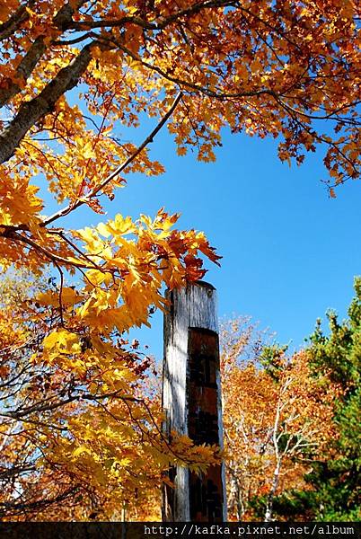 DSC_1225.JPG DSC_1225.JPG