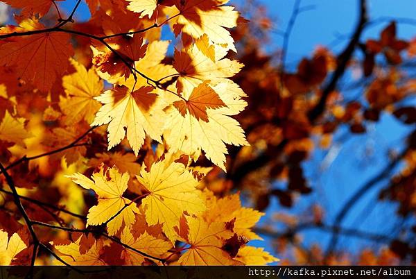 DSC_1245.JPG DSC_1245.JPG