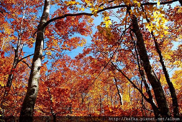 DSC_1262.JPG DSC_1262.JPG