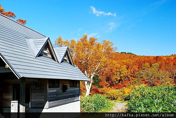 DSC_1297.JPG DSC_1297.JPG