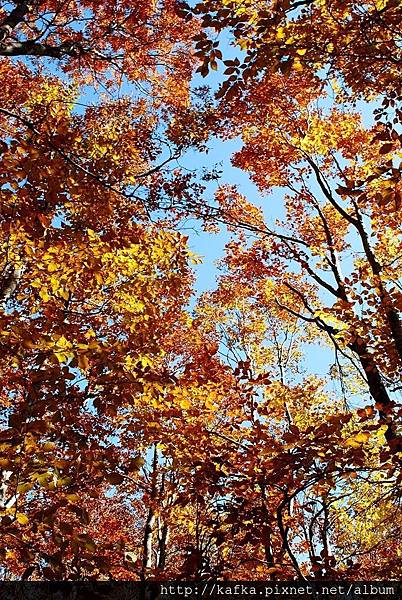 DSC_1256.JPG DSC_1256.JPG