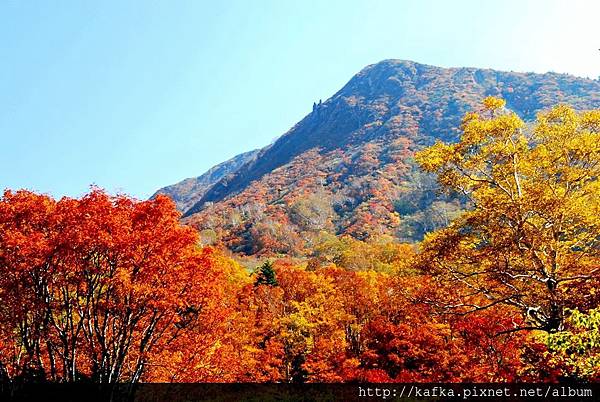 DSC_1295.JPG DSC_1295.JPG