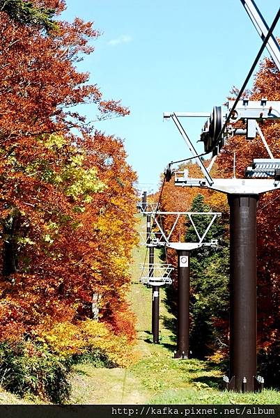 DSC_1284.JPG DSC_1284.JPG