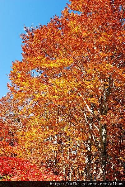 DSC_1273.JPG DSC_1273.JPG