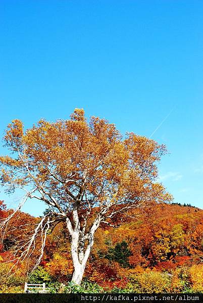 DSC_1298.JPG DSC_1298.JPG