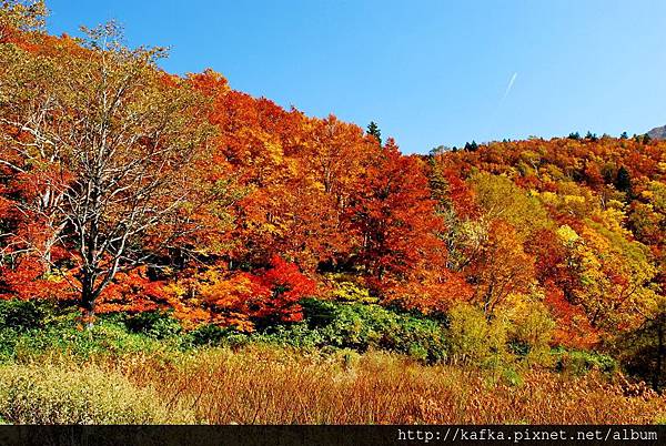 DSC_1319.JPG DSC_1319.JPG