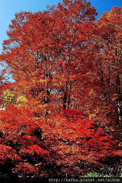 DSC_1314.JPG DSC_1314.JPG