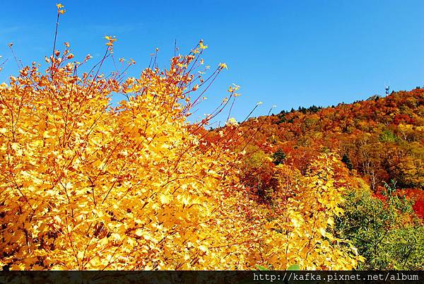 DSC_1300.JPG DSC_1300.JPG