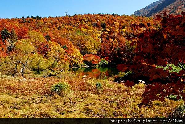 DSC_1311.JPG DSC_1311.JPG