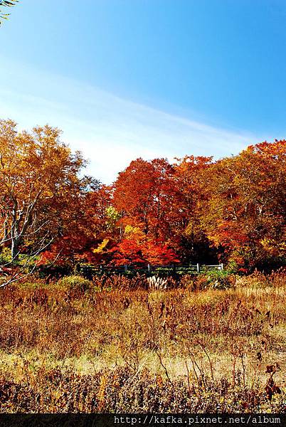 DSC_1324.JPG DSC_1324.JPG