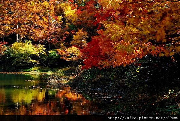 DSC_1336.JPG DSC_1336.JPG