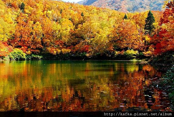 DSC_1363.JPG DSC_1363.JPG