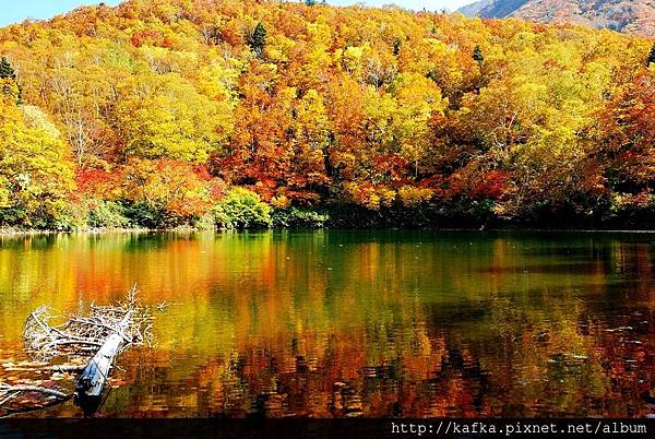 DSC_1364.JPG DSC_1364.JPG