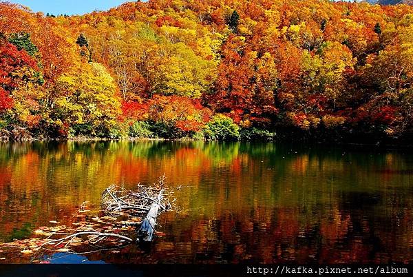 DSC_1373.JPG DSC_1373.JPG