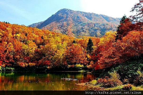 DSC_1401.JPG DSC_1401.JPG