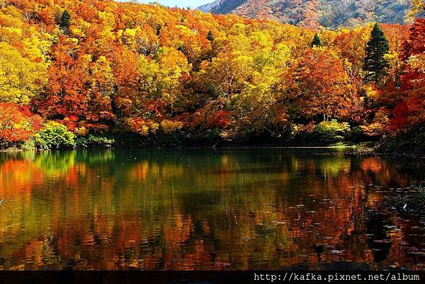 DSC_1374.JPG DSC_1374.JPG