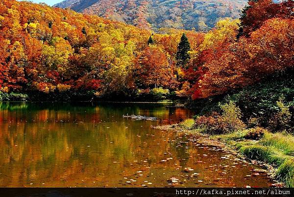 DSC_1405.JPG DSC_1405.JPG