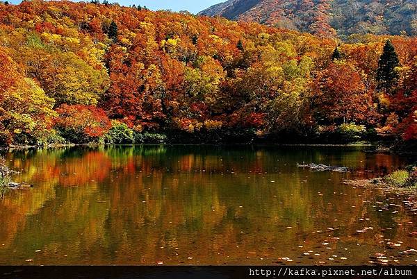 DSC_1399.JPG DSC_1399.JPG