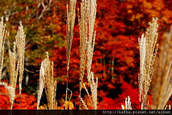 DSC_1409.JPG DSC_1409.JPG