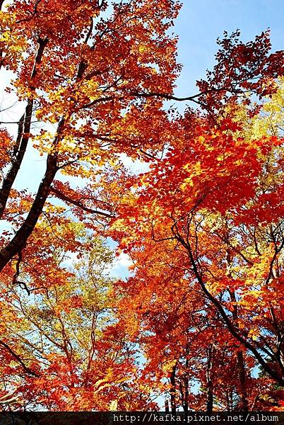 DSC_1423.JPG DSC_1423.JPG