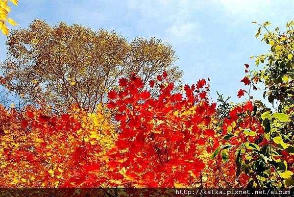 DSC_1426.JPG DSC_1426.JPG