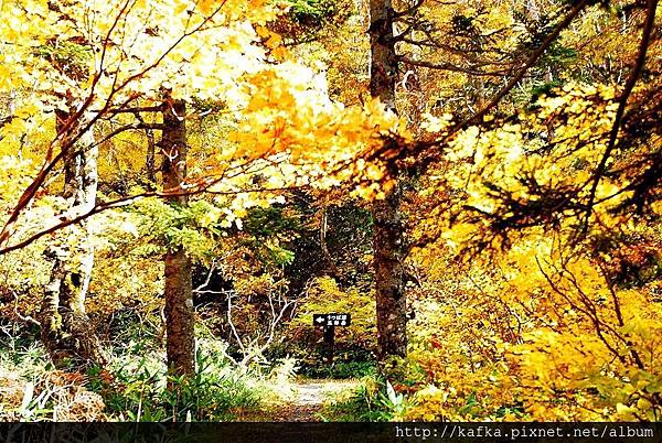 DSC_1428.JPG DSC_1428.JPG