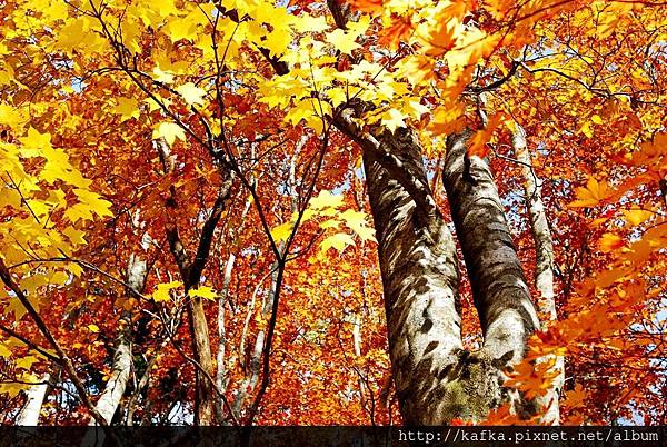 DSC_1417.JPG DSC_1417.JPG