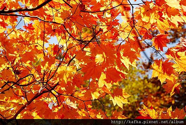 DSC_1429.JPG DSC_1429.JPG