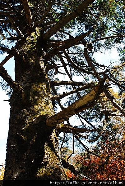 DSC_1430.JPG DSC_1430.JPG