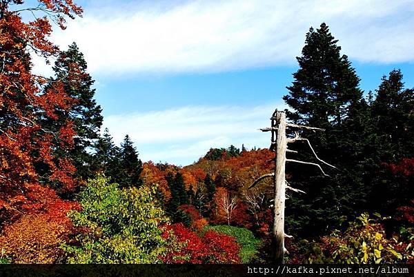 DSC_1436.JPG DSC_1436.JPG