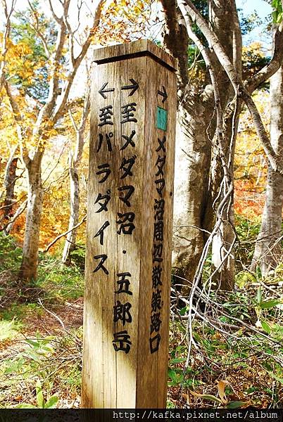 DSC_1432.JPG DSC_1432.JPG