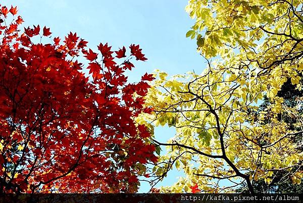 DSC_1433.JPG DSC_1433.JPG