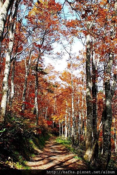 DSC_1438.JPG DSC_1438.JPG