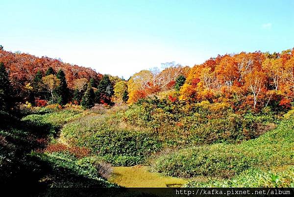 DSC_1454.JPG DSC_1454.JPG