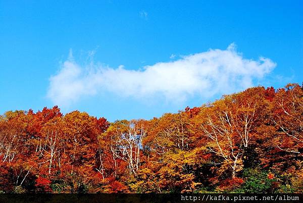 DSC_1458.JPG DSC_1458.JPG