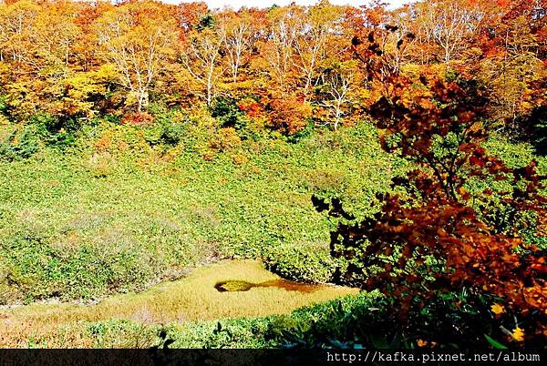 DSC_1451.JPG DSC_1451.JPG