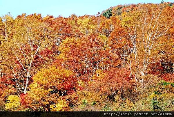 DSC_1450.JPG DSC_1450.JPG