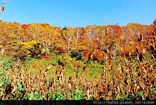 DSC_1461.JPG DSC_1461.JPG