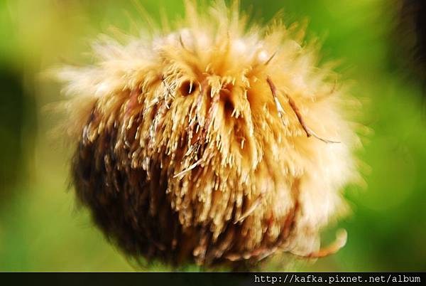 DSC_1475.JPG DSC_1475.JPG