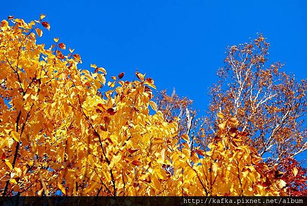 DSC_1464.JPG DSC_1464.JPG