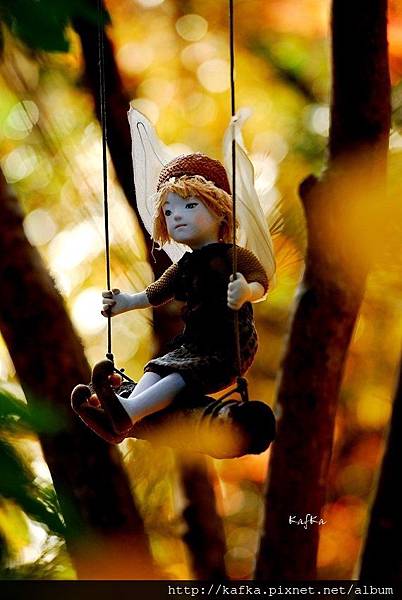 02DSC_7736.JPG 02DSC_7736.JPG