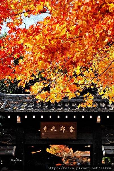 01DSC_7897.JPG 01DSC_7897.JPG